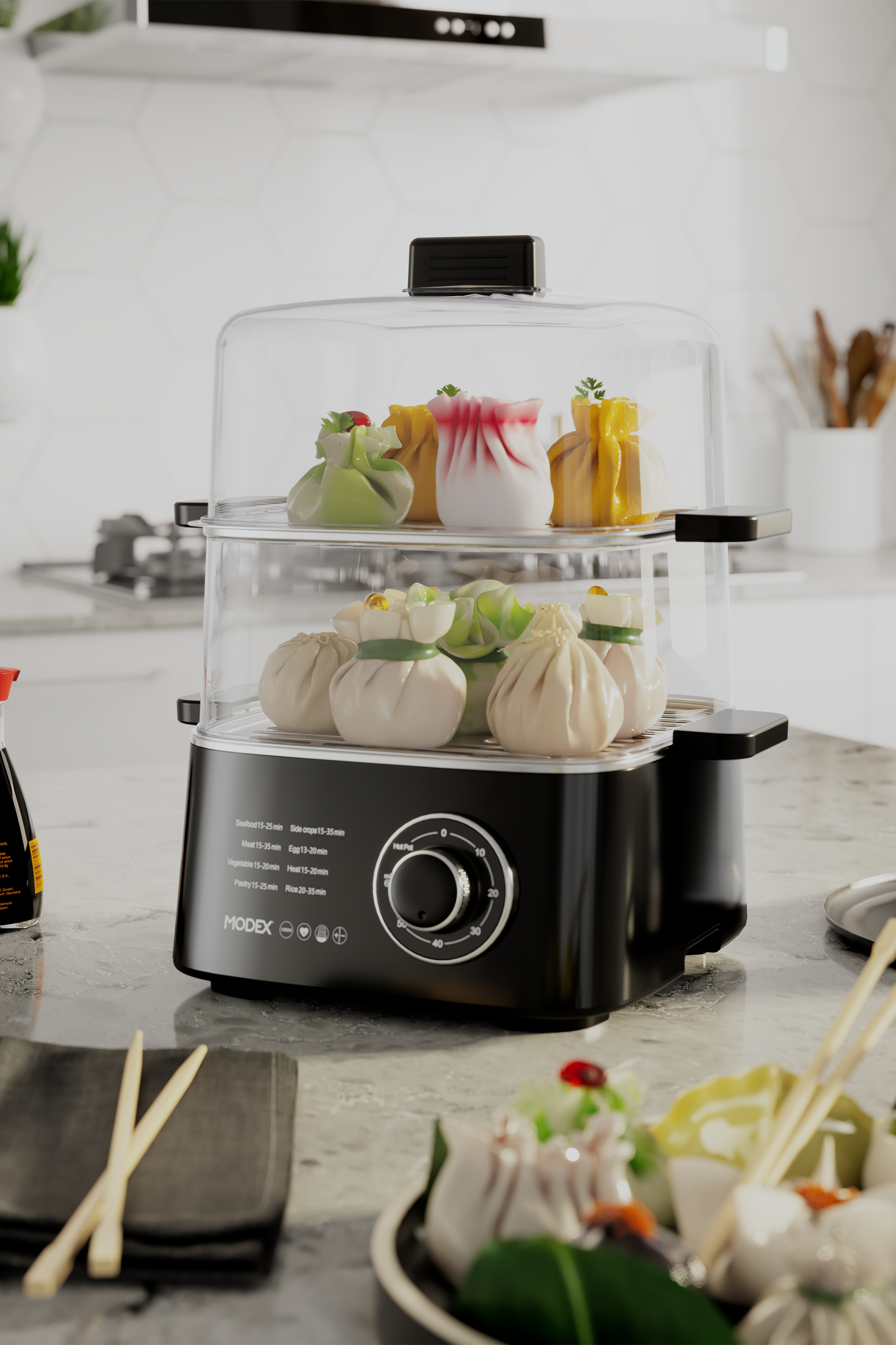 Fs300 Food Steamer