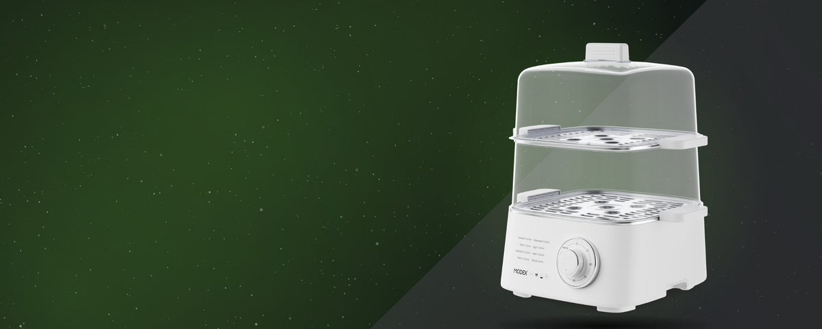 Food Steamer | Modex